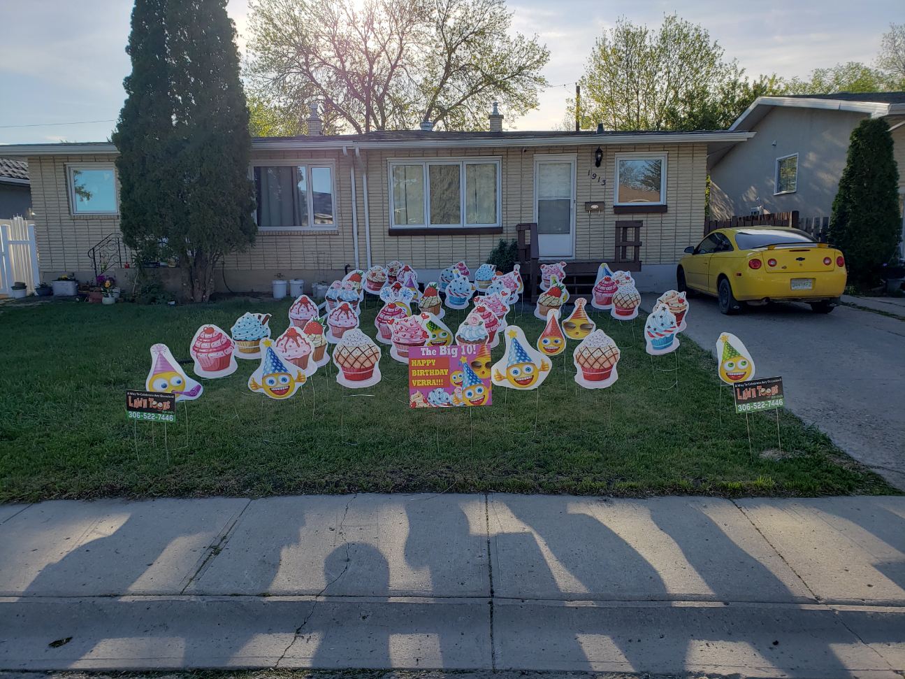 Lawn Toon Themes